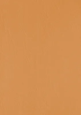Produktbild von Deckblätter - Rückwände, Karton mit Lederstruktur, DIN A4, 300 g/m², orange
