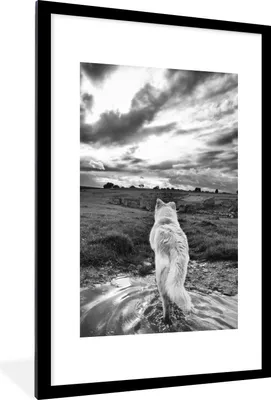Produktbild von MuchoWow® MuchoWow® Gerahmtes Poster Wolf mit Blick auf die Landschaft in Schwarz und Weiß 60x90 cm - Poster mit zchwarzem Bilderrahmen - Dekoration - Wandposter Wohnzimmer - Hochwertig
