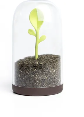 Produktbild von QUALY Vorratsdose Kunststoff Teedose Kaffeedose mit Teelöffel Braun SPROUT JAR