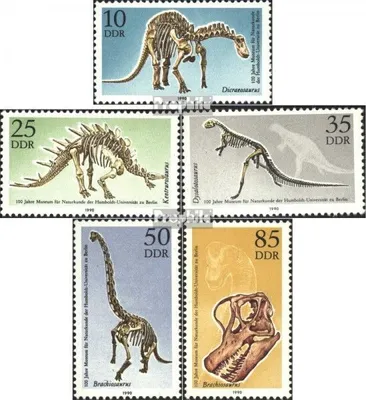 Produktbild von Briefmarken DDR 1990 Mi 3324-3328 (kompl.Ausgabe) postfrisch 100 Jahre Museum für Naturkunde