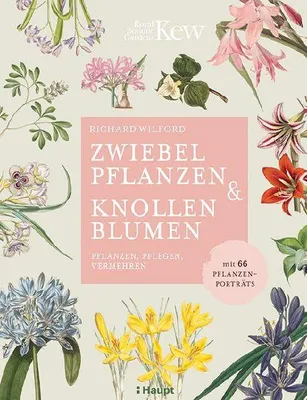 Produktbild von Zwiebelpflanzen & Knollenblumen