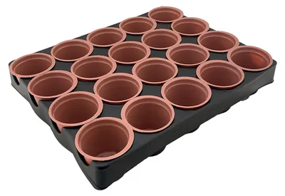 Produktbild von Anzucht-Set 21-teilig – Anzuchttöpfchen+Anzuchtpalette aus Kunststoff