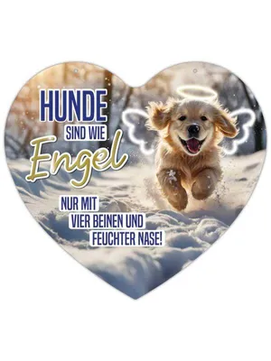 Produktbild von Herz Blechschild Hunde sind wie Engel HB028