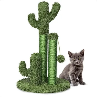 Productafbeelding van Gopets Krabboom Cactus - Cactus met touw - Modern design - Met speeltje - 33x 52 cm - Groen