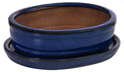 Produktbild von Dehner Bonsaischale, mit Untersetzer, oval, ca. 15 x 4.5 x 12 cm, Keramik, blau
