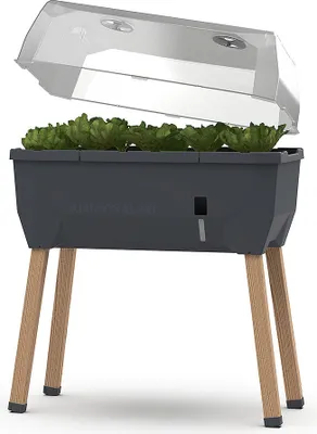 Produktbild von Gusta Garden SAMMY SALAD selbstbewässernder Pflanzkübel mit Deckel, anthrazit
