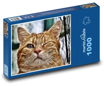 Obrázek produktu pro Puzzle 1000 Kočka domácí mrkající - martinpuzzle