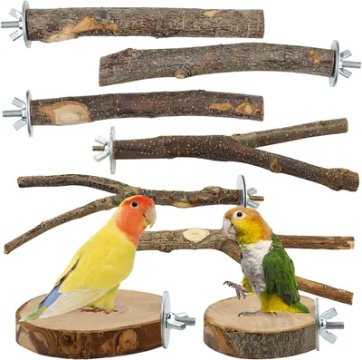 Imagen del producto de Accesorios para juguetes de pájaros, juego de 8 piezas, madera natural, barras de equilibrio seguras para aves