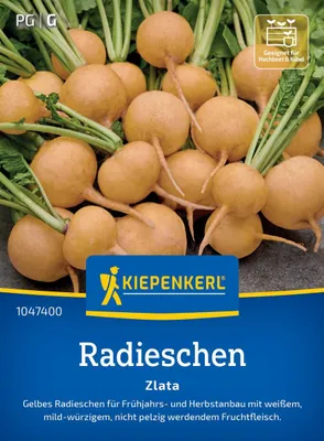 Produktbild von Kiepenkerl Radieschensamen Zlata Raphanus sativus sativus 8-10 lfd. Meter
