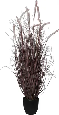 Immagine prodotto di Pianta artificiale RUBA in plastica, rossa, 70x117 cm
