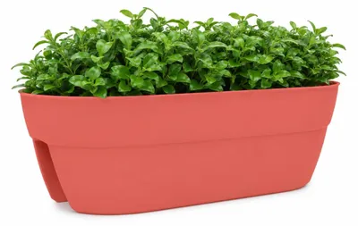 Produktbild von EDA Balkon - Pflanzkubel / Blumentopf Osaka - terra - 56 x 30 x 20 cm - oval - Kunststoff