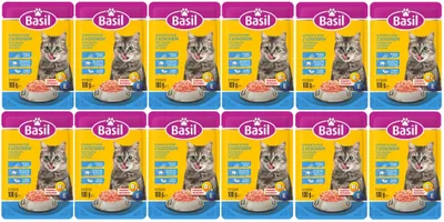 Zdjęcie produktu dla Basil mokra karma dla kota saszetka 100 g z łososiem x 12 szt