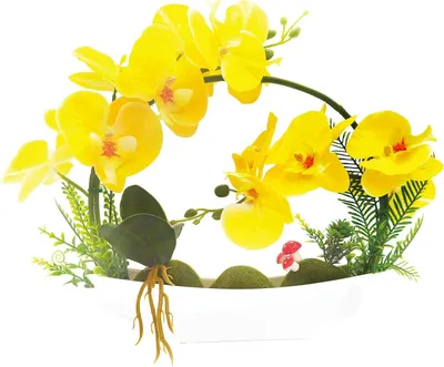 Productafbeelding van Nep Orchidee Plant - Kunstorchidee Kunstbloem - Decoratie Huis - Realistisch Uiterlijk - 28 cm Hoog - Geel