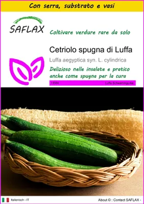 Immagine prodotto di SAFLAX Insieme di coltivazione - Cetriolo spugna di Luffa - 10 semi - Luffa