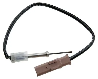Image de Capteur, température des gaz d'échappement
