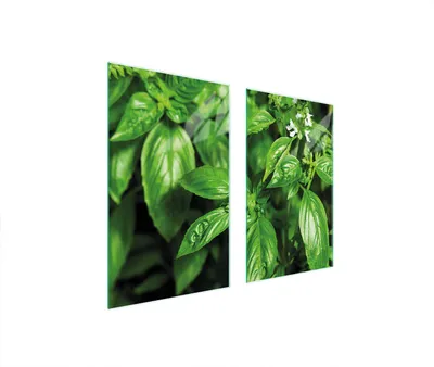 Produktbild von Glasschutzplatte Für Herd 75X52 Basil