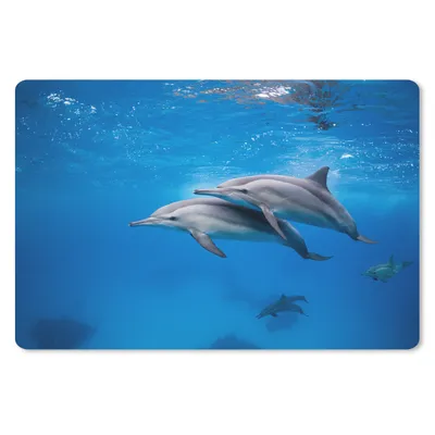 Produktbild von MuchoWow® Mauspad Mousepad Delfin - Meer - Ägypten 27x18 cm - Mousepads - Maus Mat - Pad - Mausunterlage - Büroartikel - Desk Matten