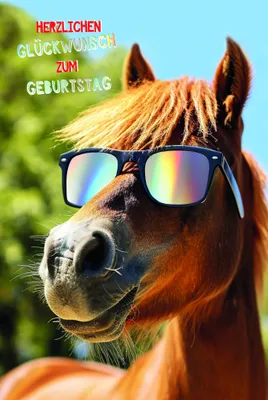 Produktbild von Geburtstag  Karte mit Briefumschlag Pferd mit Sonnenbrille