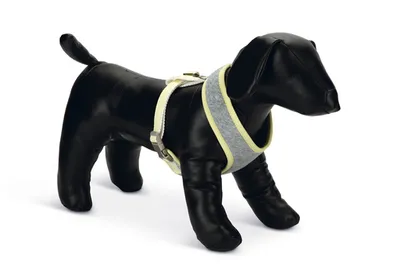 Produktbild von Beeztees Welpe Bronda - Hundegeschirr - grau - S