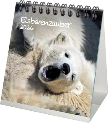 Produktbild von Eisbärenzauber Tischkalender 10cm x 10cm für 2026 Eisbär - Geschenkset Inhalt: 1x Kalender 1x Weihnachtsanhänger 1x Grußanhänger (gesamt 3 Teile)