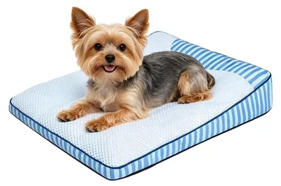 Image de Couche pour chien rafraîchissante et lavable, pour un confort optimal