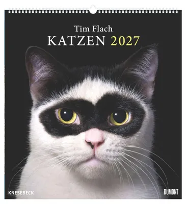Produktbild von DUMONT Wandkalender Tim Flach: Katzen 2027, Haus- und Wildkatzen, 45 x 48 cm