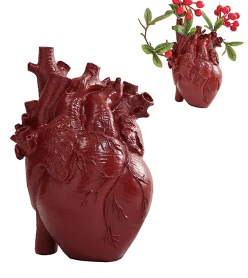 Productafbeelding van Omgoods - Anatomische Hartvaas voor Bloemstukken en Decoratie