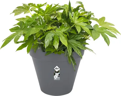 Produktbild von Elho B.for Soft Rund 18 - Blumentopf - Weiss - Innen - Ø 18.3 x H 16.7 cm