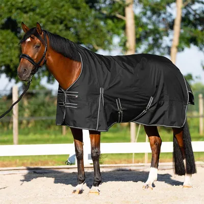 Produktbild von Imperial Riding Weidedecke in Größe 175 - Outdoordecke IRHBasic mit hohem Halsteil Sommer - black