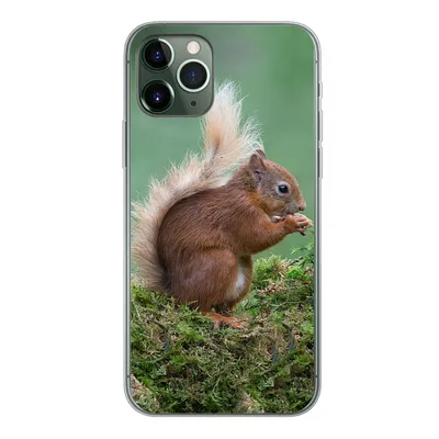 Produktbild von MuchoWow® Handyhülle Schutzhülle Hülle für iPhone 11 Pro Eichhörnchen - Wald - Moos Silikon Softcase Handy Hülle - Handy