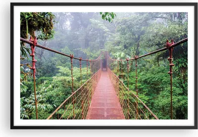 Produktbild von Gerahmtes Poster - Schwarzer Rahmen - Brücke ausgesetzt Costa Rica - 91,5x61 cm - Wand Bild - Wanddeko - Wandbilder - Kunstposter - Wandposter - Bilderrahmen - Bilder - Kunstdruck - P2BAA91x61-4923