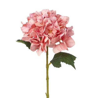 Obrázek produktu pro Umělá hortenzie Hydrangea růžová růžová hedvábná květina Výška 60 cm