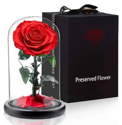 Produktbild von Ewige Rosen unter Glaskuppel - Geschenk für Frauen - 14 x 24 cm - Blumen