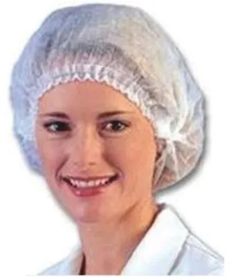 Productafbeelding van Ginkel'S Haarnetjes Disposable (100 stuks)