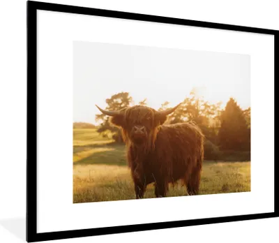 Produktbild von MuchoWow® Gerahmtes Poster Schottischer Hochländer - Gras - Sonne 80x60 cm - Poster mit Schwarzem Bilderrahmen Wandposter Rahmen Foto Bilder - Schlafzimmer-Dekorationen - Fotoposter