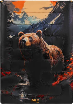 Image de Sac de couchage NILS Camp NC3601 Bear 3in1