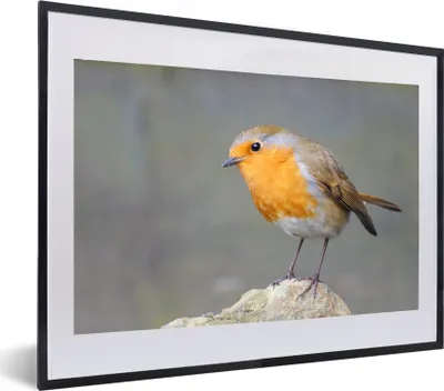 Produktbild von MuchoWow® MuchoWow® Gerahmtes Poster Vogel - Rotkehlchen - Felsen 60x40 cm - Poster mit zchwarzem Bilderrahmen - Schlafzimmer - Plakat in Rahmen - Drucken