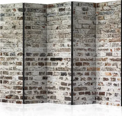Produktbild von 5-teiliger Doppelseitiger Vlies Paravent - Walls of Time II 225x172 cm Muster f-A-0457-z-c