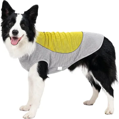 Produktbild von Kühlweste für Hunde | Atmungsaktiv und verstellbar mit Kühlakkutasche - Für kleine, mittelgroße und große Rassen, ideal für Ausflüge, Parkbesuche und Spaziergänge