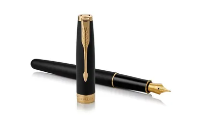 Image de Parker 1931517 Stylo plume Noir, Or 1 pièce(s)