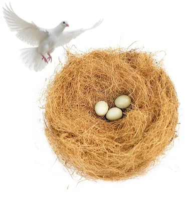 Kokosfaser-Nestmaterial für Vögel & Kleintiere, 100 g
