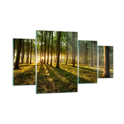 Produktbild von Bilder auf glas - Wald grün Sonnenstrahlen Natur - 160x90cm - Glasbilder - Wandbilder - Kunstdruck - zum Aufhängen bereit - Wanddekoration aus Glas - Glas Bilder - Wandbild auf Glas - GDL160x90-2510
