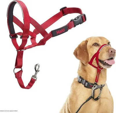Produktbild von Famanu Hundehalsband Anti-Ziehen - Größe 3, Rot