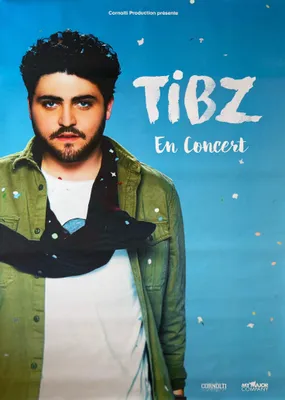 Produktbild von TIBZ – Konzert 2017 – Plakat / Poster – 87x121 cm