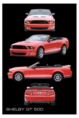 Productafbeelding van Shelby GT500 - 61x91,5 cm - Poster
