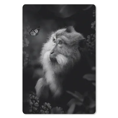 Produktbild von MuchoWow® Mauspad Mousepad Affe und Schmetterling im Dschungel - schwarz und weiß 18x27 cm - Mousepads - Maus Mat - Pad - Mausunterlage