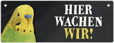 Produktbild von Metallschild mit Wellensittich grün Motiv und Spruch: Hier wachen wir!