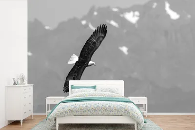 Produktbild von MuchoWow® Fototapete für Wohnzimmer oder Schlafzimmer Wandtapete Vinyl Motivtapete Bergadler - schwarz und weiß - 360x240 cm - Vinyl-Tapete