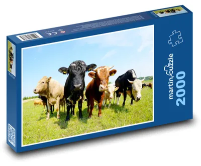 Produktbild von martinpuzzle - Puzzle 2000 Teile - Kühe auf dem Feld