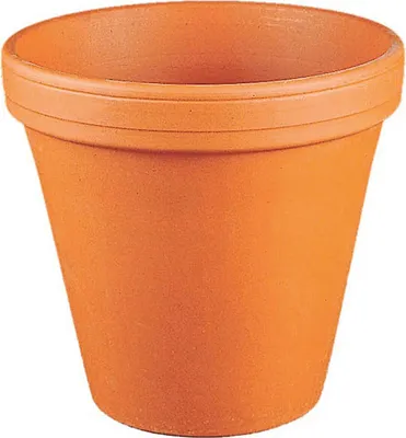 Image de SPANG Blumentopf Ton Ø8,3cm 5er Pack natur